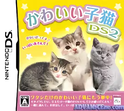 Image n° 1 - box : Kawaii Koneko DS 2